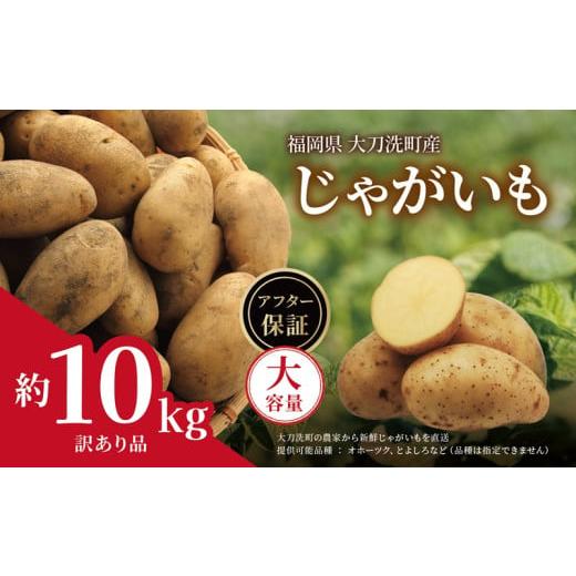 ふるさと納税 野菜類 じゃがいも 福岡県 大刀洗町 訳あり 大容量 ふるさと納税 野菜類 じゃがいも 福岡県 大刀洗町 訳あり 大容量