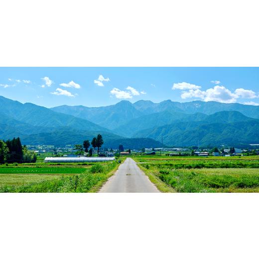 ふるさと納税 アロマ・入浴剤 アロマ用品 長野県 飯島町 クロモジエッセンシャルオイル　5ml×1瓶_精油 天然成分 植物由来 アロマオイル 芳香用 長野県 飯島町…_5