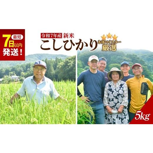 ふるさと納税 米 コシヒカリ 栃木県 茂木町 お米マイスター厳選 令和7年産 茂木百騎米 精米 5kg(5kg×1袋) | コシヒカリ こしひかり おこめ 新米 令和7年産 …