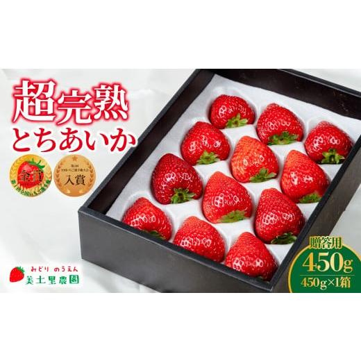 ふるさと納税 いちご 栃木県 茂木町 先行受付:1月中旬以降発送 いちご「茂木完熟いちご」 美土里農園の朝採れ とちあいか ギフト 450g×1箱 | いちご イチ…
