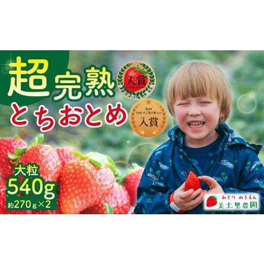 ふるさと納税 いちご 栃木県 茂木町 先行受付:1月中旬以降発送 いちご 「茂木完熟いちご」 美土里農園の朝採れ とちおとめ 大粒 約270g × 2パック 合計 約…