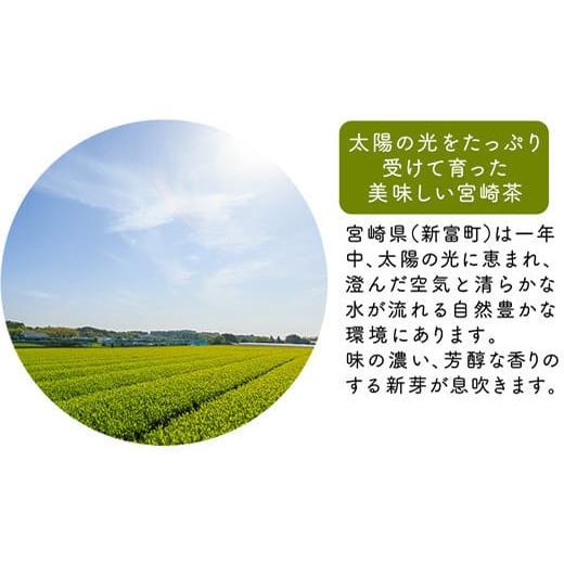 ふるさと納税 お茶類 緑茶（茶葉・ティーバッグ） 宮崎県 新富町 宮崎日本茶専門店 上煎茶100g 10本セット お茶 緑茶 ギフト お取り寄せ D140の画像