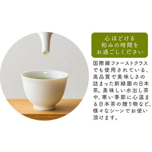 ふるさと納税 お茶類 緑茶（茶葉・ティーバッグ） 宮崎県 新富町 宮崎日本茶専門店 上煎茶100g 10本セット お茶 緑茶 ギフト お取り寄せ D140の画像