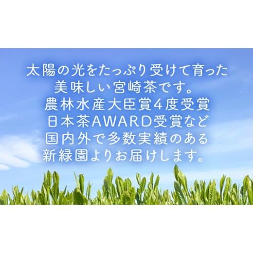 ふるさと納税 お茶類 緑茶（茶葉・ティーバッグ） 宮崎県 新富町 宮崎日本茶専門店 上煎茶100g 10本セット お茶 緑茶 ギフト お取り寄せ D140の画像
