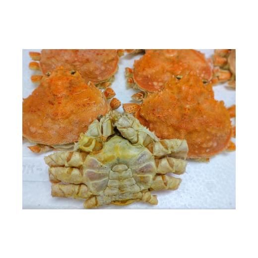 ふるさと納税 カニ ずわいガニ 北海道 広尾町  訳あり オオズワイガニ甲羅 １kg×2袋 カニ かに 冷凍 甲羅 カニみそ カニミソ 海産物 簡単 無添加 …の画像