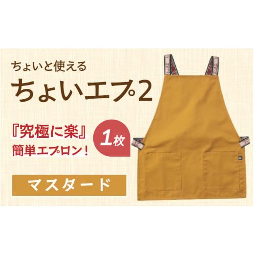 ふるさと納税 雑貨・日用品 石川県 かほく市 ちょいと使える ちょい エプ 2 マスタード マスタード