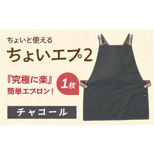 ふるさと納税 雑貨・日用品 石川県 かほく市 ちょいと使える ちょい エプ 2 チャコール チャコール