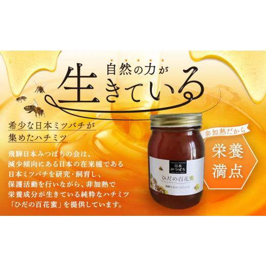 ふるさと納税 加工品等 はちみつ 岐阜県 高山市 ひだの百花蜜 600g×1本 | 国産 非加熱 日本ミツバチ ハニー ハチミツ はちみつ 蜂蜜 飛騨高山 飛騨日本みつば…の画像