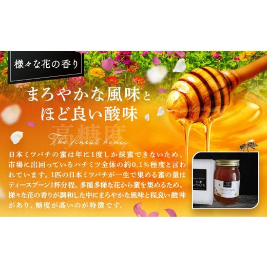 ふるさと納税 加工品等 はちみつ 岐阜県 高山市 ひだの百花蜜 600g×1本 | 国産 非加熱 日本ミツバチ ハニー ハチミツ はちみつ 蜂蜜 飛騨高山 飛騨日本みつば…の画像