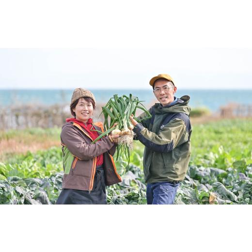 ふるさと納税 野菜類 玉ねぎ 兵庫県 淡路市  淡路島のあま〜い新玉ねぎ 淡路島ファーム太陽と海 から期間限定でお届け 10kg 発送時期2026年3月中旬〜5月中旬頃…の画像