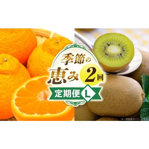 ふるさと納税 果物の詰合せ 香川県 三木町 季節の恵み2回定期便L | 果物 フルーツ 定期便 果物定期便 フルーツ定期便 旬の果物 旬の定期便 旬のフルーツ 定期…