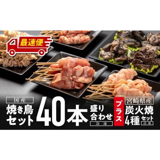 ふるさと納税 鶏肉 セット 宮崎県 宮崎市 最速便 焼き鳥セット4種(40本)盛り合わせ&宮崎県産炭火焼4種セット_M146-002_01-2W 最速便 2週間以内に発送予定