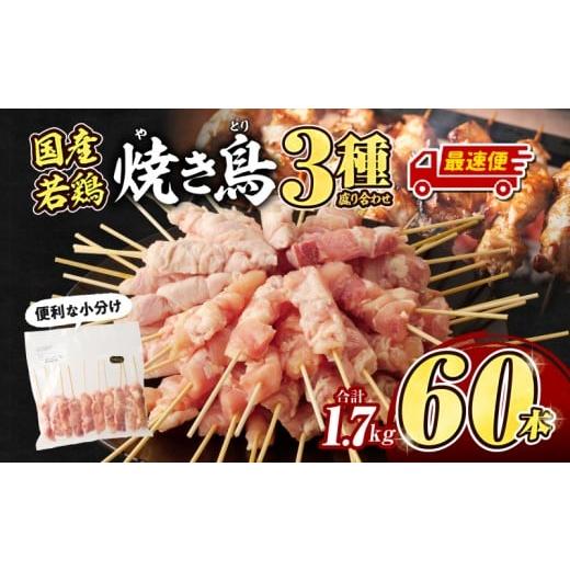 ふるさと納税 鶏肉 焼き鳥 宮崎県 宮崎市 最速便 若鶏の焼き鳥3種(60本)盛り合わせ_M146-013-2W 最速便 2週間以内に発送予定