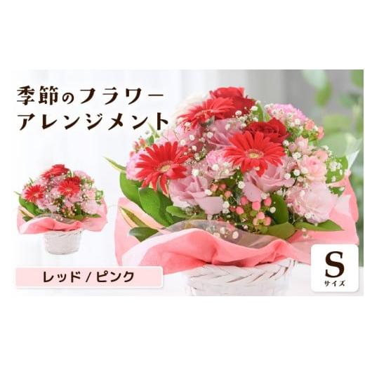 ふるさと納税 雑貨・日用品 花 福井県 坂井市 選べるカラー 季節のフラワーアレンジメント S (レッド・ピンク) お花 フラワー アレジメント 花束 ギフト 生花 …