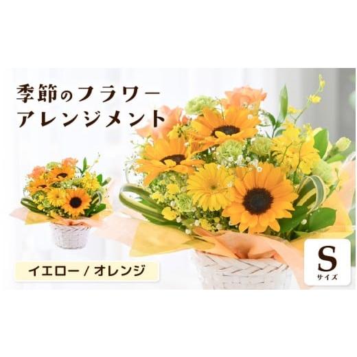 ふるさと納税 雑貨・日用品 花 福井県 坂井市 選べるカラー 季節のフラワーアレンジメント S (イエロー・オレンジ) お花 フラワー アレジメント 花束 ギフト …