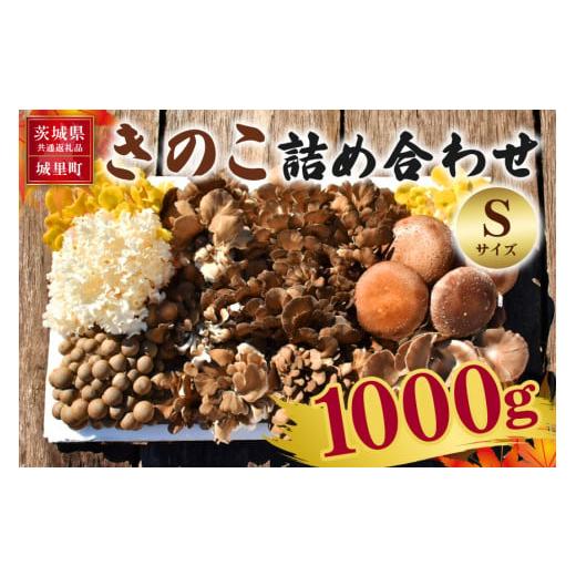 ふるさと納税 野菜類 きのこ 茨城県 那珂市 きのこの詰め合わせ Sサイズ 1Kg 茨城県共通返礼品 城里町産 舞茸 椎茸 あわび茸 たもぎ茸 はなびら茸 完全室内栽…