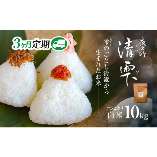 ふるさと納税 米 コシヒカリ 京都府 福知山市 3ヶ月定期便 令和7年産 京都夜久野産 清雫(せいな) コシヒカリ 白米 (10kg×3回) fc-DB006-C03 合同会社夜久野…