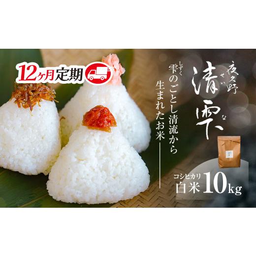 ふるさと納税 米 コシヒカリ 京都府 福知山市 12ヶ月定期便 令和7年産 京都夜久野産 清雫(せいな) コシヒカリ 白米 (10kg×12回) fc-DB006-C12 合同会社夜久…