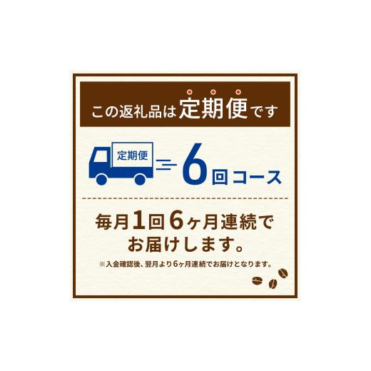 ふるさと納税 コーヒー 飲料 静岡県 島田市  No.5695-2004 定期便6ヶ月 ネスカフェ エクセラ ボトルコーヒー 無糖 900ml×24本 ペットボトル 珈琲 コー…の画像