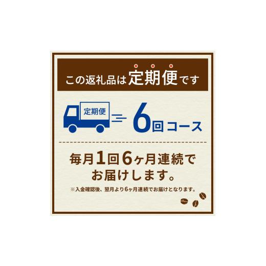 ふるさと納税 コーヒー 飲料 静岡県 島田市  No.5695-2009 定期便6ヶ月 ネスカフェ エクセラ ボトルコーヒー 甘さひかえめ 900ml×24本 ペットボトル 珈…の画像
