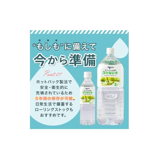 ふるさと納税 水・ミネラルウォーター 500mL〜999mL 富山県 立山町 北アルプス立山連峰 5年保存水 500ml×24本×2ケース 500ミリリットル 名水 ミネラルウォー…の画像