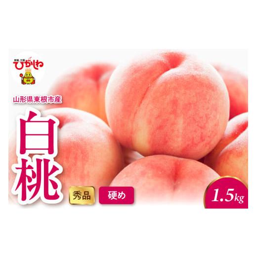 ふるさと納税 もも 山形県 東根市 2026年産 白桃(硬め) 1.5kg 秀品 山形県 東根市 hi082-052 白桃(硬め) 1.5kg(3-7玉)