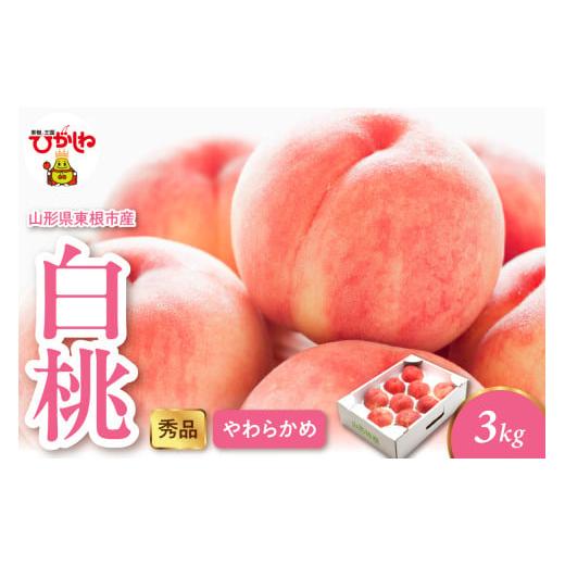 ふるさと納税 もも 山形県 東根市 2026年産 白桃(柔らかめ) 3kg 秀品 山形県 東根市 hi082-049