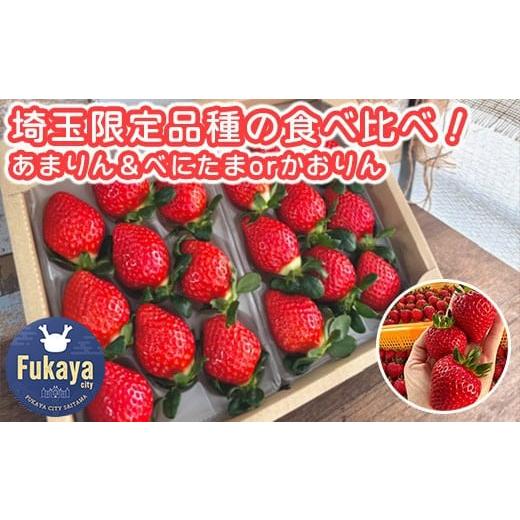 ふるさと納税 いちご 埼玉県 深谷市 あまりん&べにたまorかおりん食べ比べ 16粒〜40粒セット