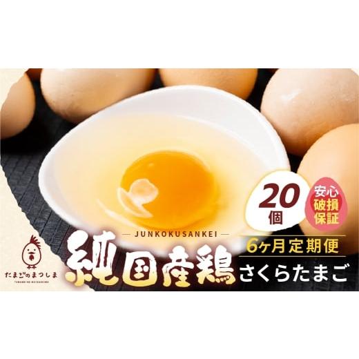 ふるさと納税 卵(鶏、烏骨鶏等) 岐阜県 大垣市 定期便6ヶ月 20個 新鮮 特選 さくらたまご 20個 6ヶ月 パック数 回数 6回 新鮮な卵 (発送当日・または前日に…