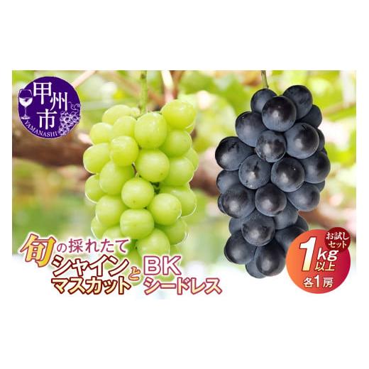 ふるさと納税 ぶどう マスカット 山梨県 甲州市 クール配送 お試しセット 旬の採れたてシャインマスカット&BKシードレス 1kg以上(各1房) 2026年発送 (HO…