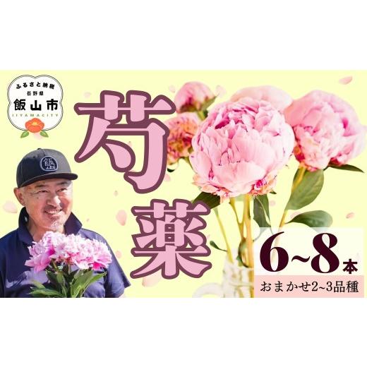 ふるさと納税 雑貨・日用品 花 長野県 飯山市 先行予約 芍薬 切花 おまかせ2〜3品種 6〜8本セット[出荷時期:2026年5月中旬頃〜]太田農園 | 長野県 飯山市…