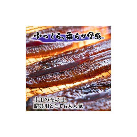 ふるさと納税 うなぎ 高知県 南国市  通常用 特大 極上国産うなぎ四万十桜 蒲焼き約210g×5尾 | 完全無投薬 うなぎ 鰻 蒲焼き 国産 調理済み タレ付き ギフト …の画像