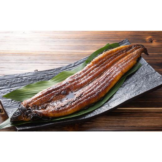 ふるさと納税 うなぎ 高知県 南国市  通常用 特大 極上国産うなぎ四万十桜 蒲焼き約210g×5尾 | 完全無投薬 うなぎ 鰻 蒲焼き 国産 調理済み タレ付き ギフト …の画像