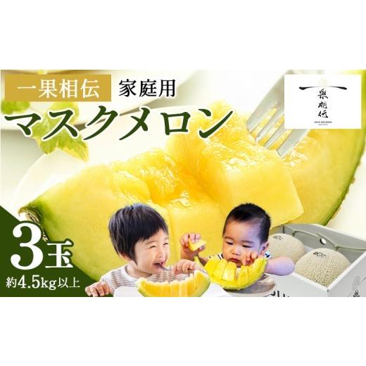 ふるさと納税 メロン メロン青肉 高知県 香南市 5月発送中 家庭用メロン マスクメロン 3玉 メロン ますくめろん めろん 3玉 果物 くだもの フルーツ 甘い デ…