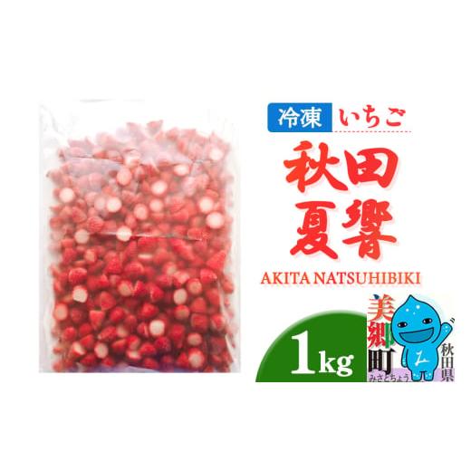 ふるさと納税 いちご 秋田県 美郷町 秋田夏響 冷凍 1kg 夏イチゴ いちご 苺 なつひびき