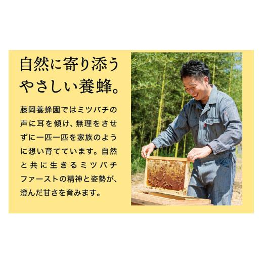 ふるさと納税 加工品等 はちみつ 兵庫県 市川町 2025年採蜜 完熟