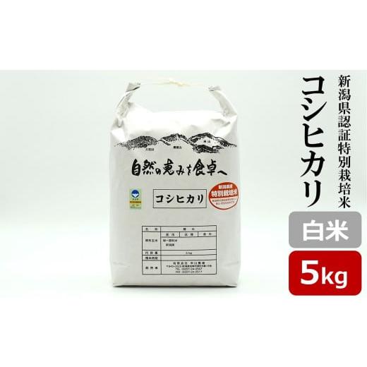 ふるさと納税 米 コシヒカリ 新潟県 柏崎市 令和7年産新米 コシヒカリ 白米 5kg 新潟県認証特別栽培米