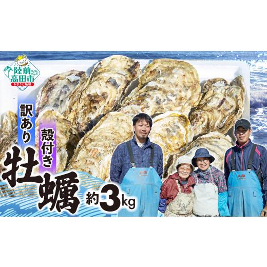 ふるさと納税 牡蠣 生牡蠣 岩手県 陸前高田市 6月前半発送 訳あり 殻付き牡蠣 約3kg 生食可 牡蠣 かき カキ 殻付き 生食 数量限定 国産 三陸産 広田湾 小友 …