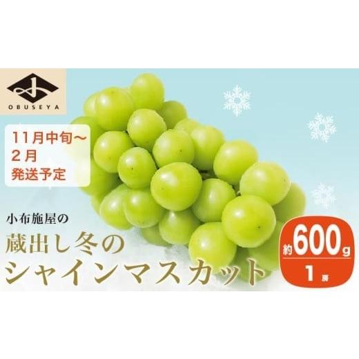 ふるさと納税 ぶどう マスカット 長野県 小布施町 蔵出し冬のシャインマスカット 約600g 1房 [小布施屋 ]長野県 ぶどう フルーツ 果物 冷蔵便 クール便 令和…