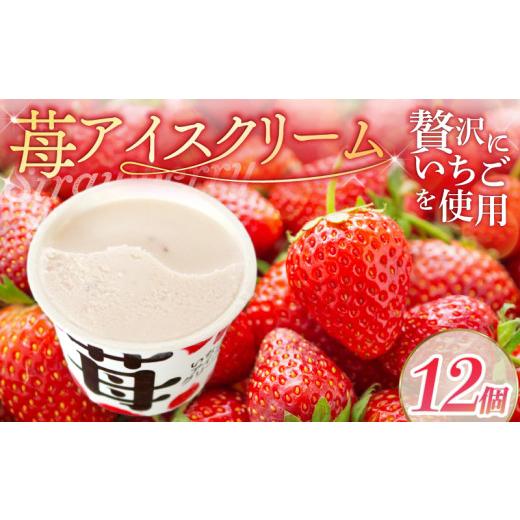 ふるさと納税 菓子 アイス 高知県 南国市 苺アイスクリーム110mlx12個 | アイスクリーム 人気 大容量 有名 アイスセット 詰め合わせ スイーツ ジェラート 久保…