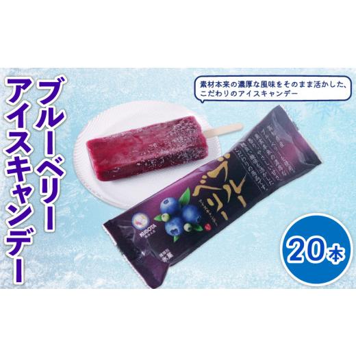 ふるさと納税 菓子 アイス 高知県 南国市 ブルーベリーアイスキャンデー80mlx20本 | ブルーベリーアイス ブルーベリーアイスキャンデー アイスキャンデー アイ…