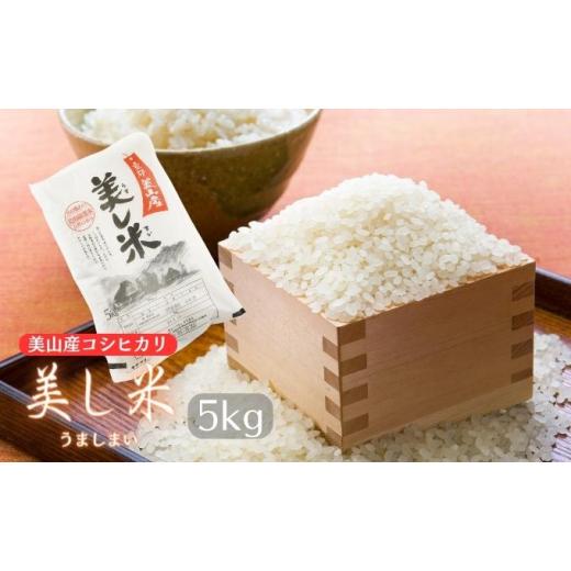 ふるさと納税 米 コシヒカリ 京都府 南丹市   米 美し米 5kg 美山産 コシヒカリ 白米 精米 コメ こめ お米 こしひかり 5 キロ ご飯 ごはん 京都