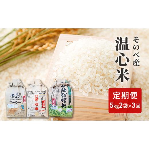 ふるさと納税 米 コシヒカリ 京都府 南丹市  No.5334-0029 米 定期便 3ヶ月 コシヒカリ キヌヒカリ れんげ米 各 5kg ×2袋 そのべ産 温心米 2025年度産 お米 …_1