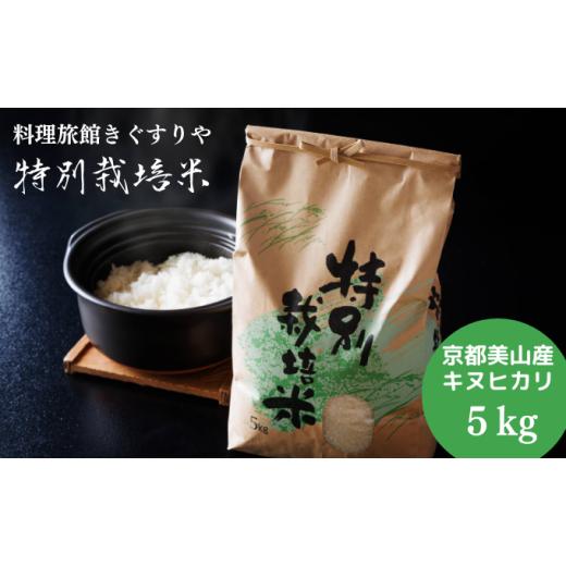 ふるさと納税 米 京都府 南丹市   令和8年度 料理旅館きぐすりや 特別栽培米 キヌヒカリ 5kg 精米 白米 お米 こめ コメ 減農薬栽培 5 キロ ご飯 …
