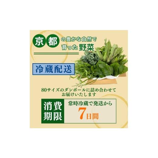 ふるさと納税 セット・詰合せ 京都府 南丹市  No.5334-0234 爬虫類用 訳あり野菜と季節の葉っぱ詰め合わせ 60サイズの画像