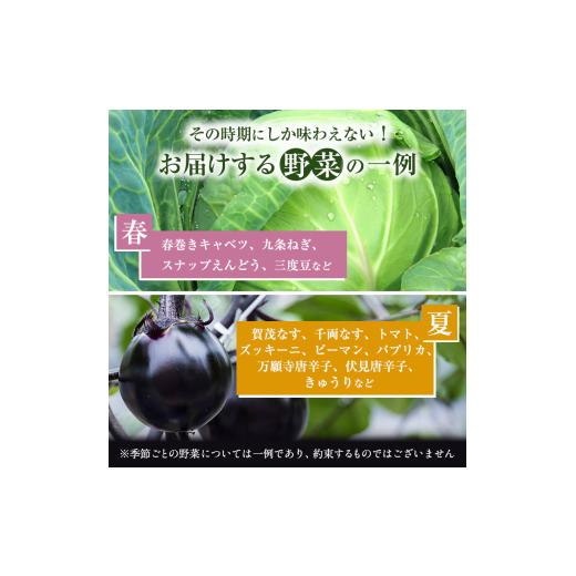 ふるさと納税 セット・詰合せ 京都府 南丹市  No.5334-0272 京野菜の京都やおよし 丹波野菜詰め合わせ 平飼い卵のセット《栽培期間中農薬不使用 野菜》 北海道…の画像
