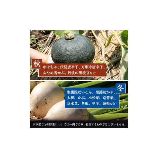 ふるさと納税 セット・詰合せ 京都府 南丹市  No.5334-0272 京野菜の京都やおよし 丹波野菜詰め合わせ 平飼い卵のセット《栽培期間中農薬不使用 野菜》 北海道…の画像
