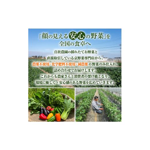 ふるさと納税 セット・詰合せ 京都府 南丹市  No.5334-0272 京野菜の京都やおよし 丹波野菜詰め合わせ 平飼い卵のセット《栽培期間中農薬不使用 野菜》 北海道…の画像