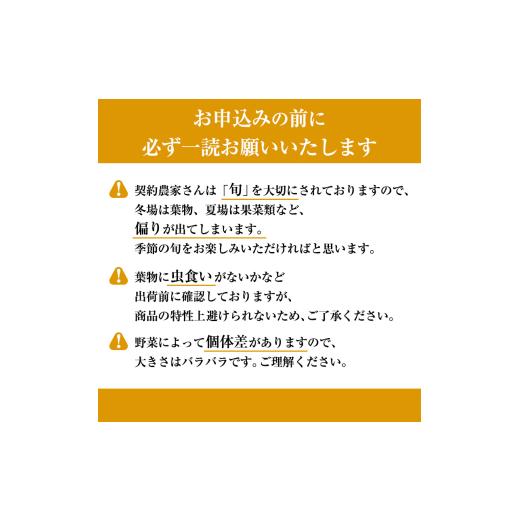 ふるさと納税 セット・詰合せ 京都府 南丹市  No.5334-0272 京野菜の京都やおよし 丹波野菜詰め合わせ 平飼い卵のセット《栽培期間中農薬不使用 野菜》 北海道…の画像