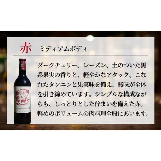 ふるさと納税 ワイン 赤ワイン 京都府 南丹市 No.5334-0362 丹波ワイン
